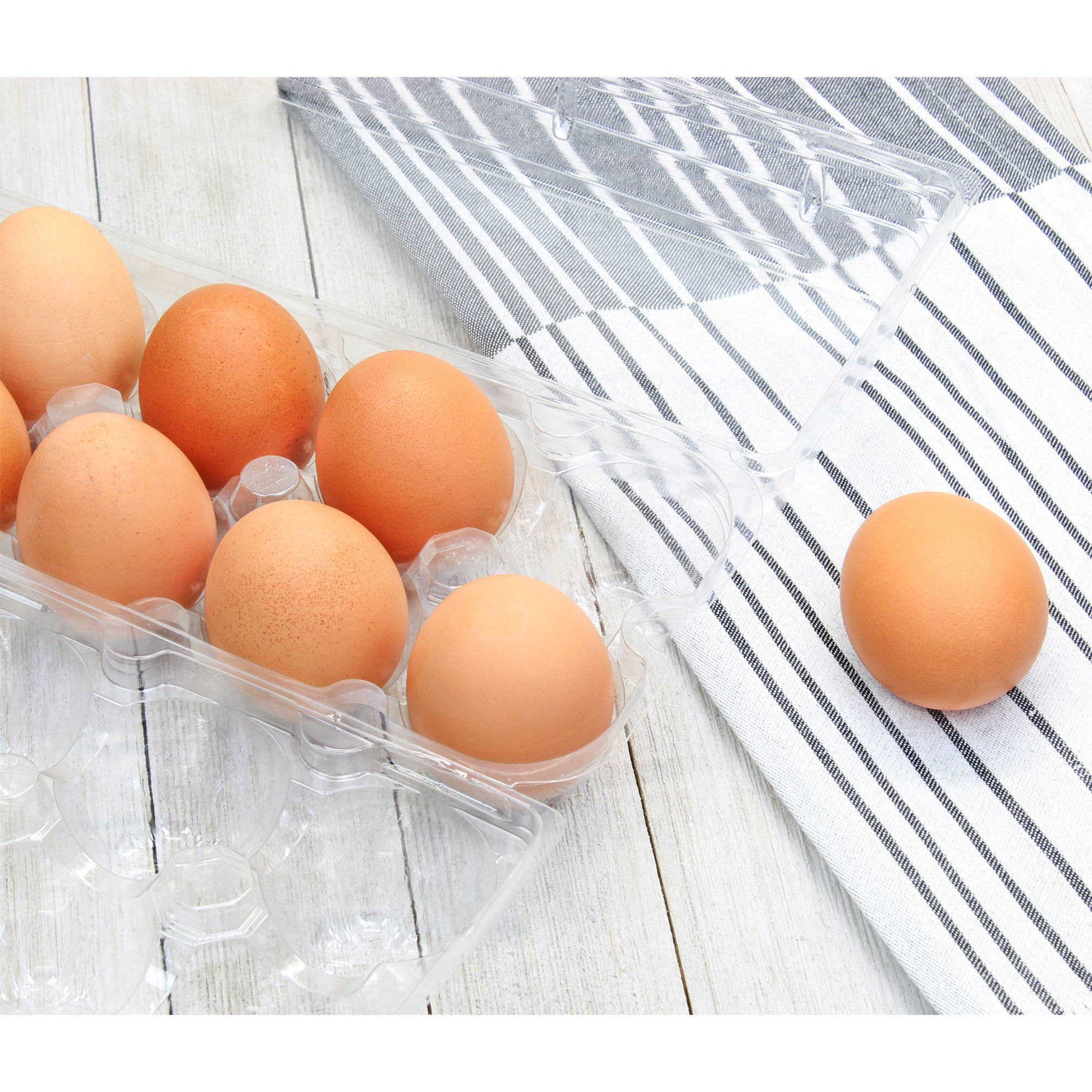 Clear Plastic Egg Cartons (20-Pack); Tri-Fold Containers for One