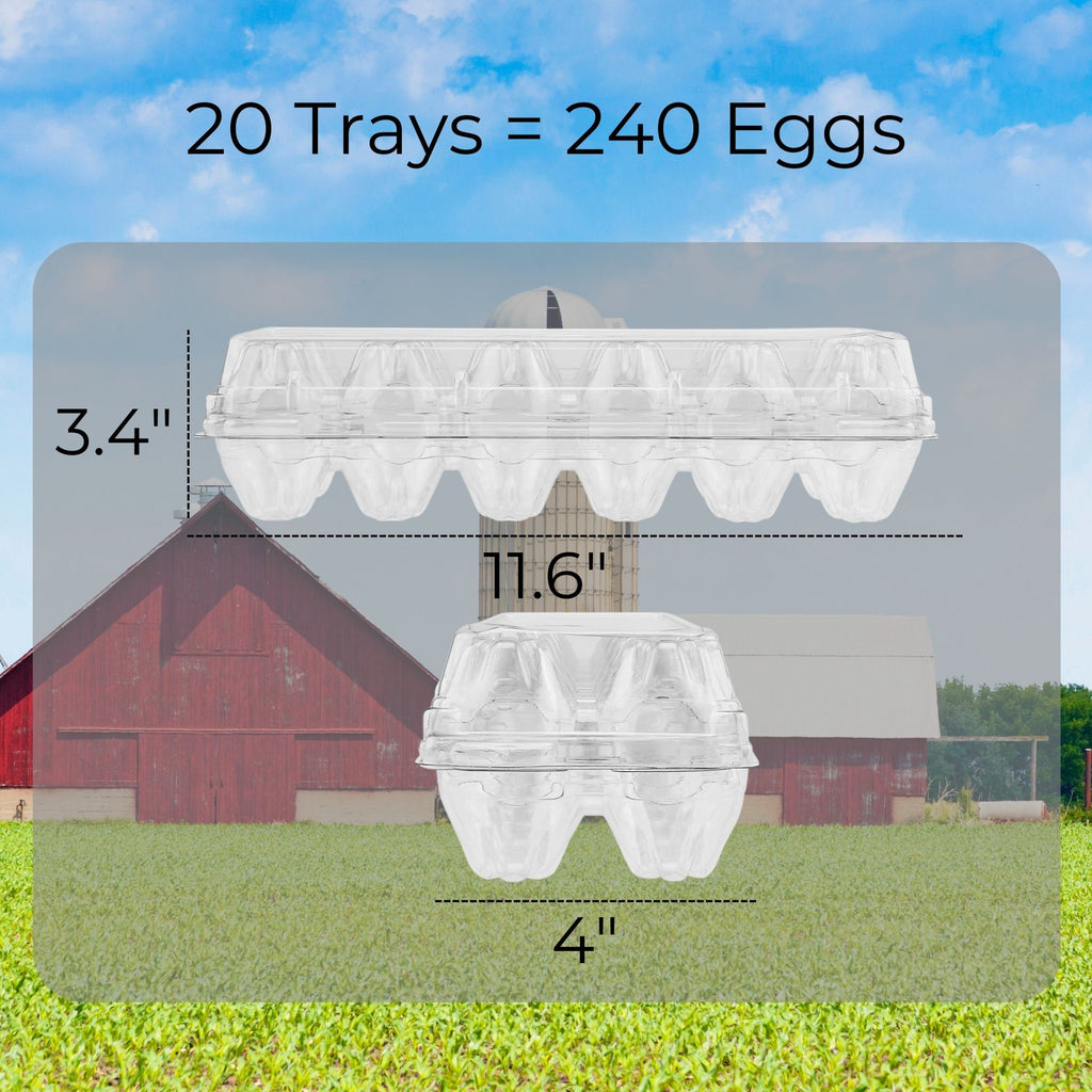 Clear Plastic Egg Cartons (20-Pack) - CBKit009