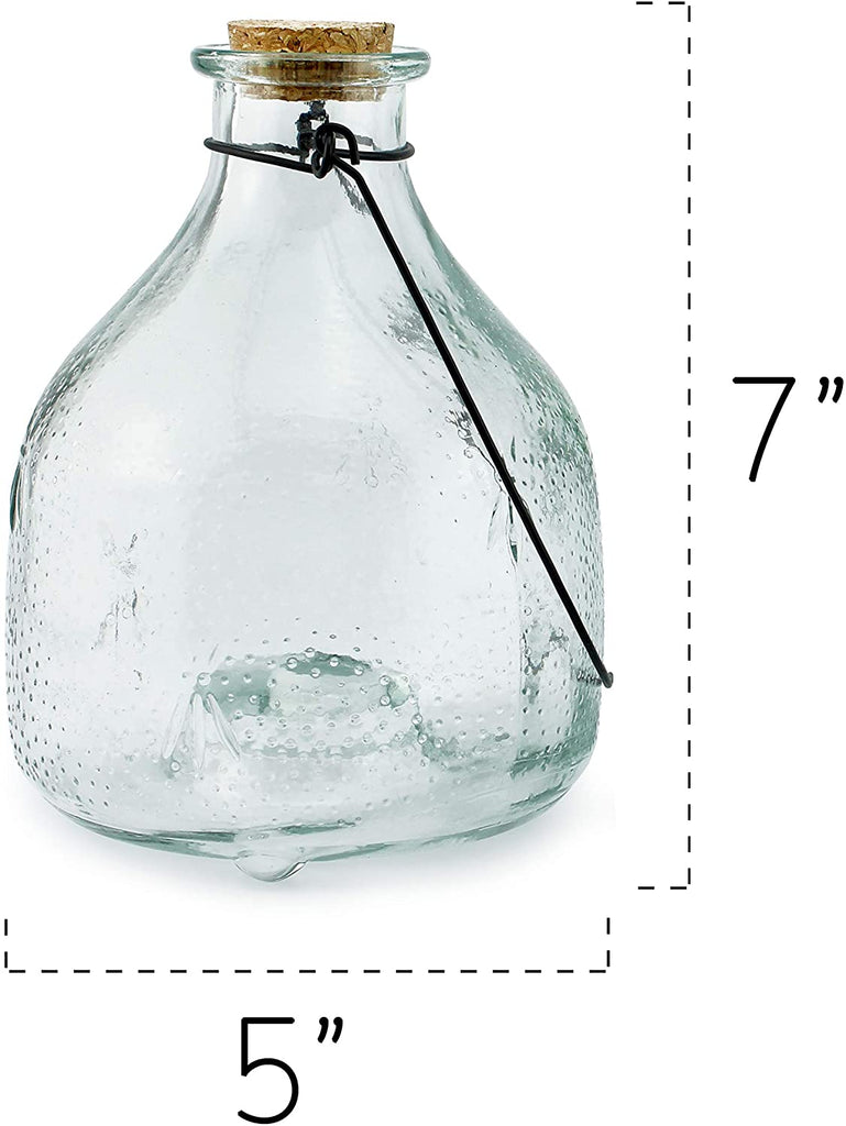 Clear Glass Wasp Traps (2-Pack) - SH_1481