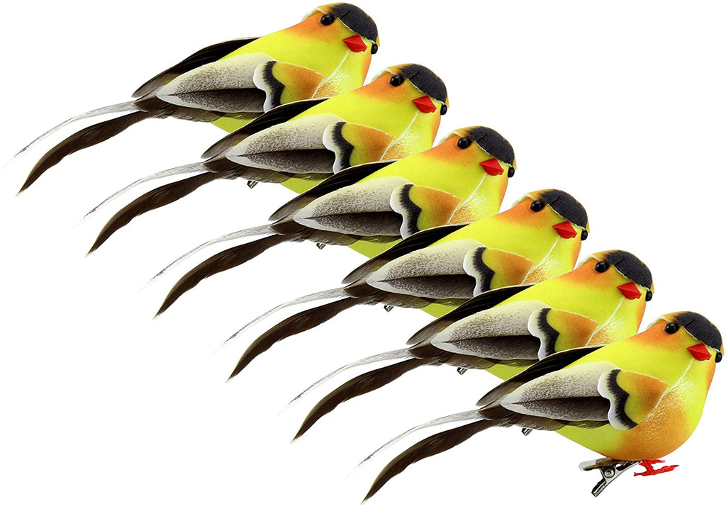 Yellow Goldfinches (6-Pack) - sh1554cb0GoldF