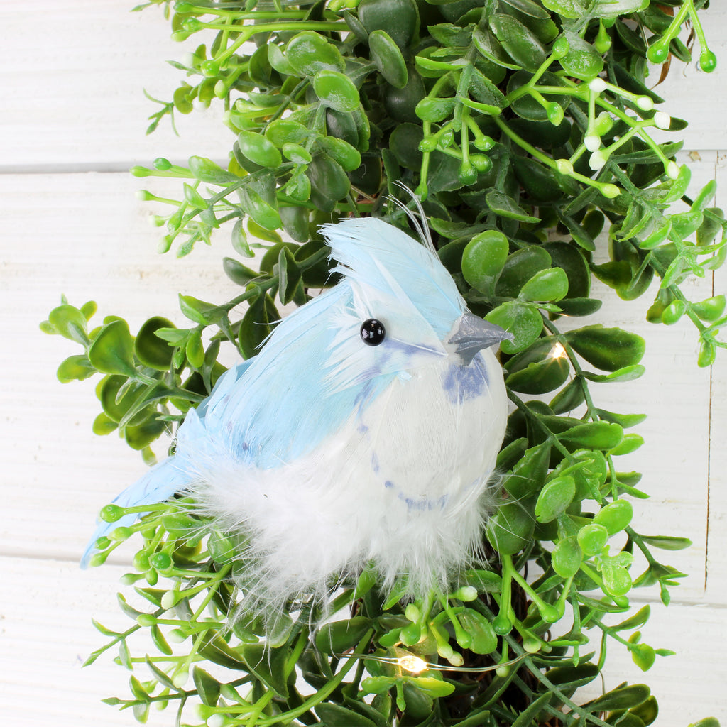 Blue Jays Artificial Bird Ornaments (6-Pack) - sh1570cb0Jay