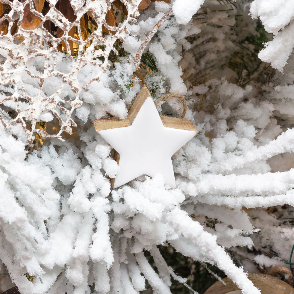 Farmhouse Christmas Star Ornaments (12-Pack, White) - sh1565ah1White