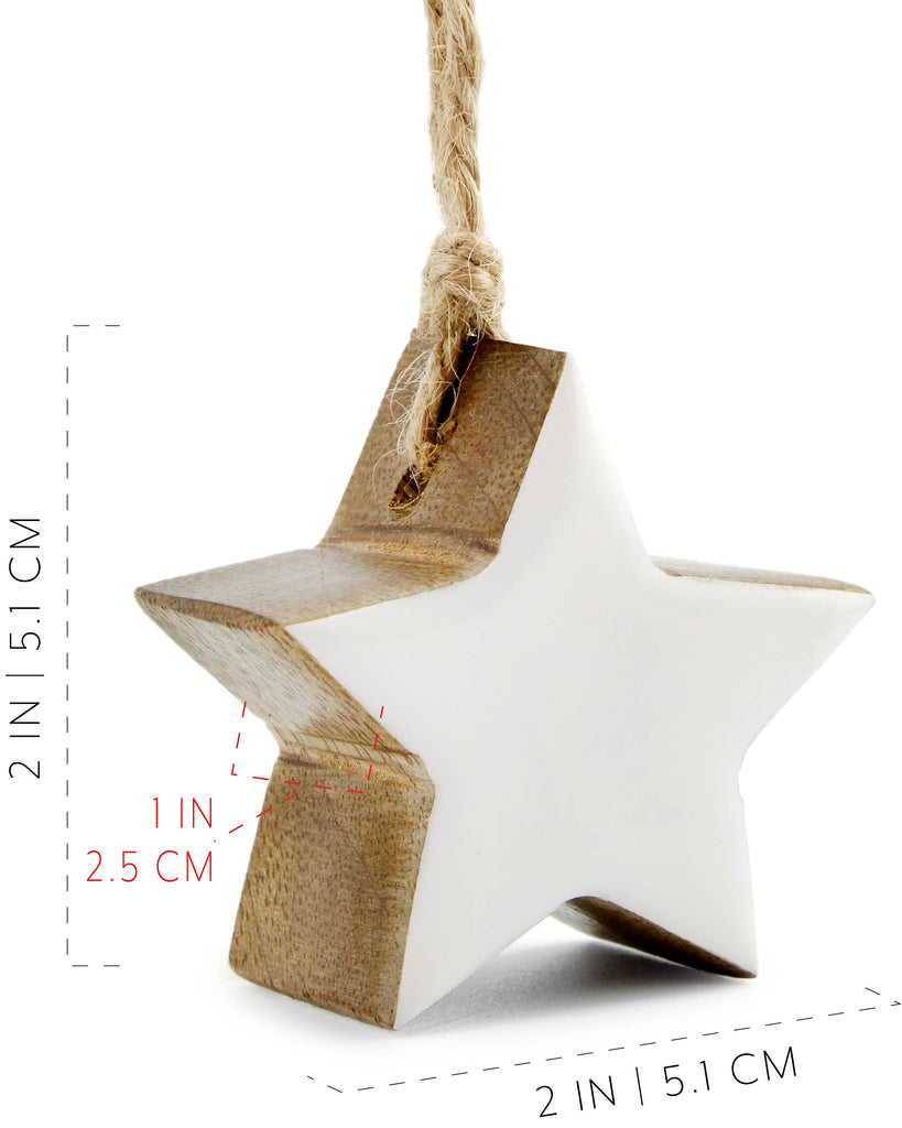 Farmhouse Christmas Star Ornaments (12-Pack, White) - sh1565ah1White