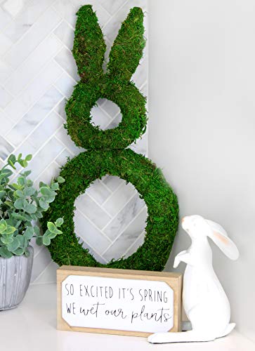 Easter Spring Moss Wreath Base (Case of 36) - 36X_SH_1648_CASE