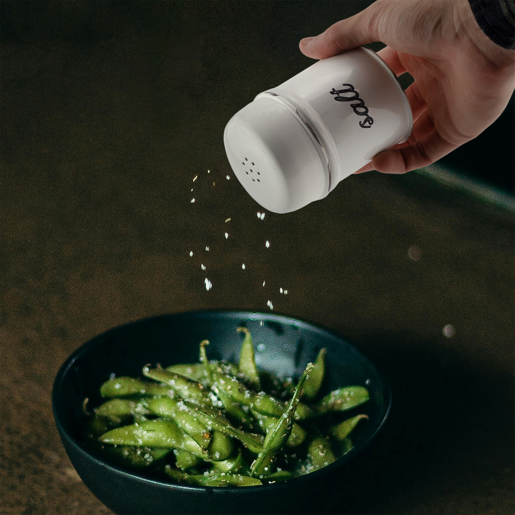 White Enamelware Salt and Pepper Shaker Set - sh1609ah1SALT
