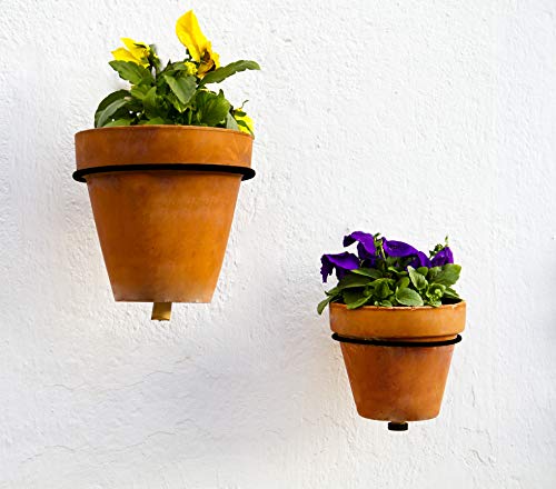 Metal Wall Ring Planters with Pots (4-Pack, 8-Piece Set) - sh1767dar04inPOTS