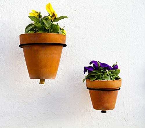 terracotta wall planter indoor Metal Wall Ring Planters with Pots (Case of 48) – Kurated Korner