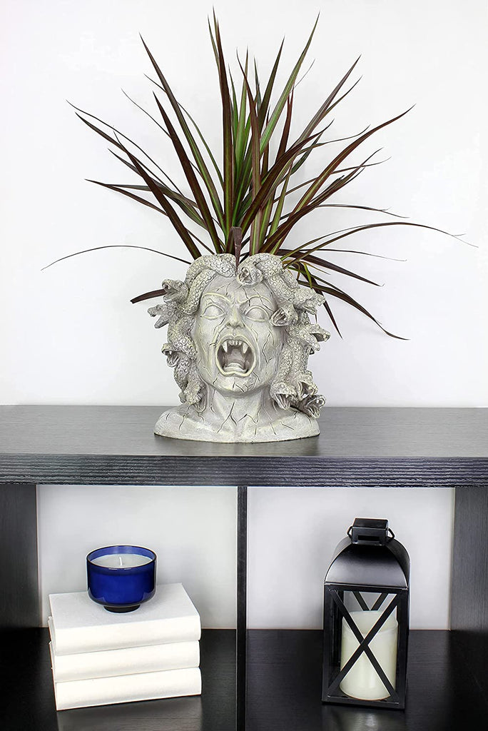 Large Resin Medusa Head Planter (Case of 2) - 2X_SH_1945_CASE