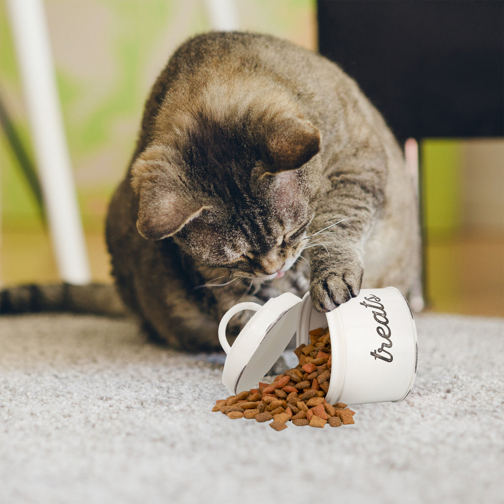 Enamelware Cat Treat Container (White) - sh1954ah1Cat