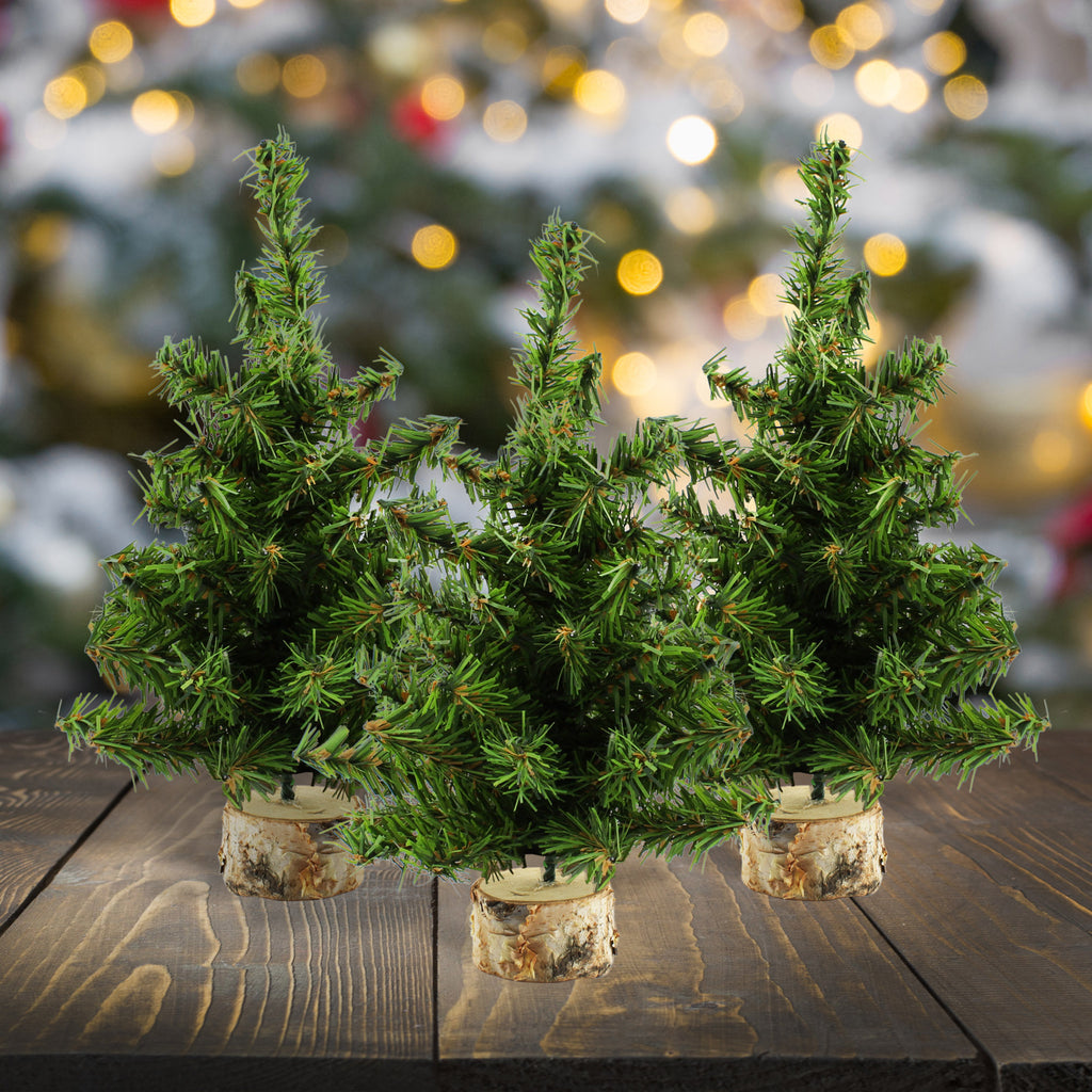 Mini Christmas Trees (10-Inch, Case of 168) - 56X_SH_1997_CASE