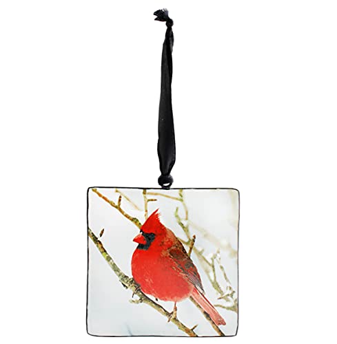 Metal Christmas Cardinal Ornaments (Set of 6) - sh2028ah1Bird
