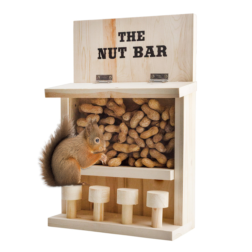 Nut Bar Squirrel Feeder (Case of 8) - 8X_SH_2103_CASE
