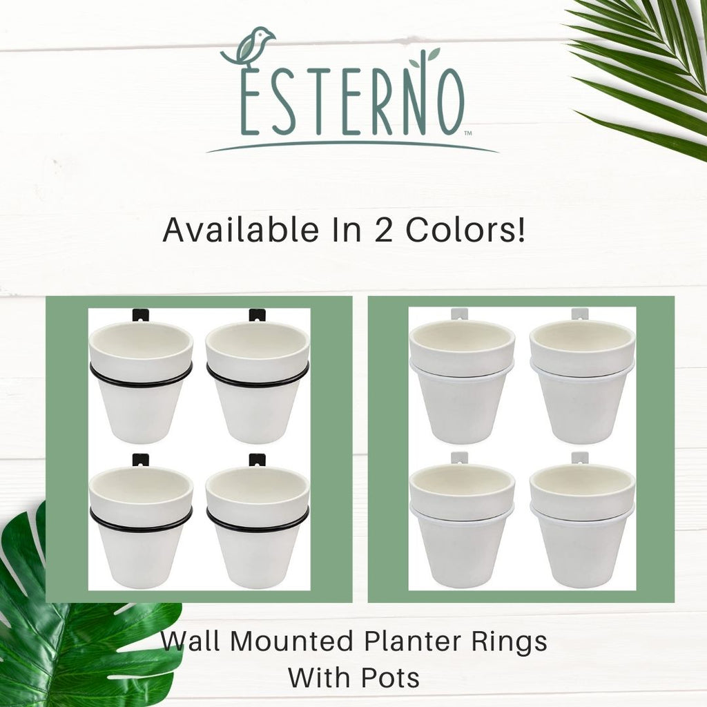 Wall Mounted Planter Rings w/ Pots 8pc Set (Case of 48) - 12X_SH_2104_CASE