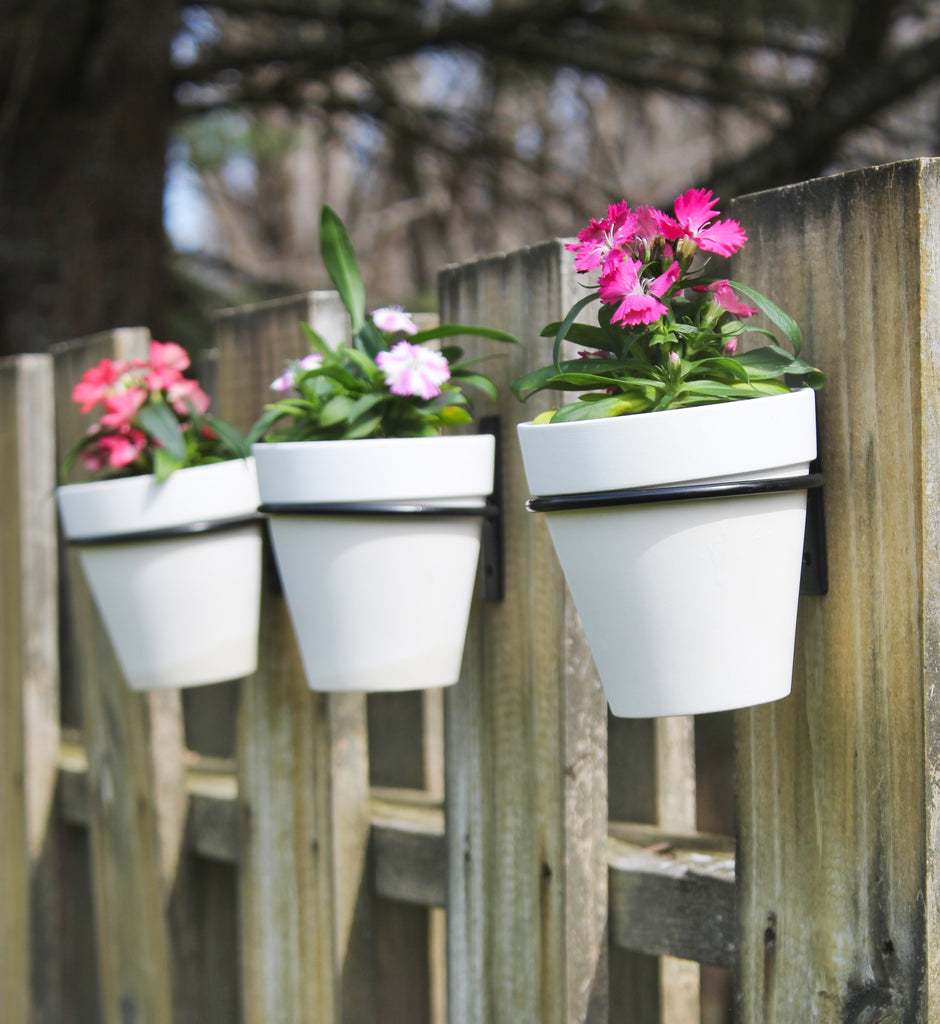 Wall Mounted Planter Rings w/ Pots 8pc Set (Case of 48) - SH_2104_CASE