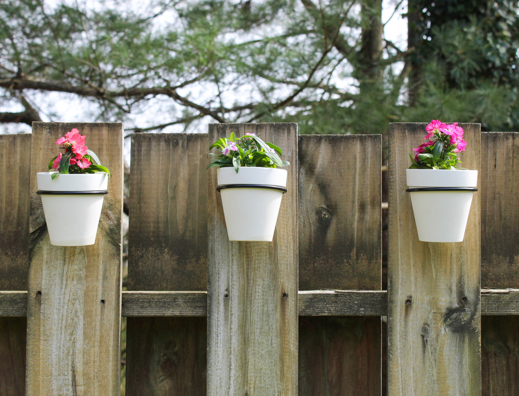 Wall Mounted Planter Rings w/ Pots 8pc Set (Case of 48) - 12X_SH_2104_CASE