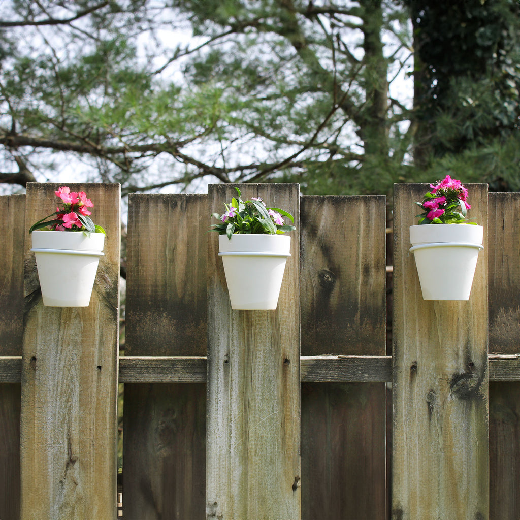 Wall Mounted Planter Rings w/ Pots 8pc Set (Case of 48) - 12X_SH_2105_CASE