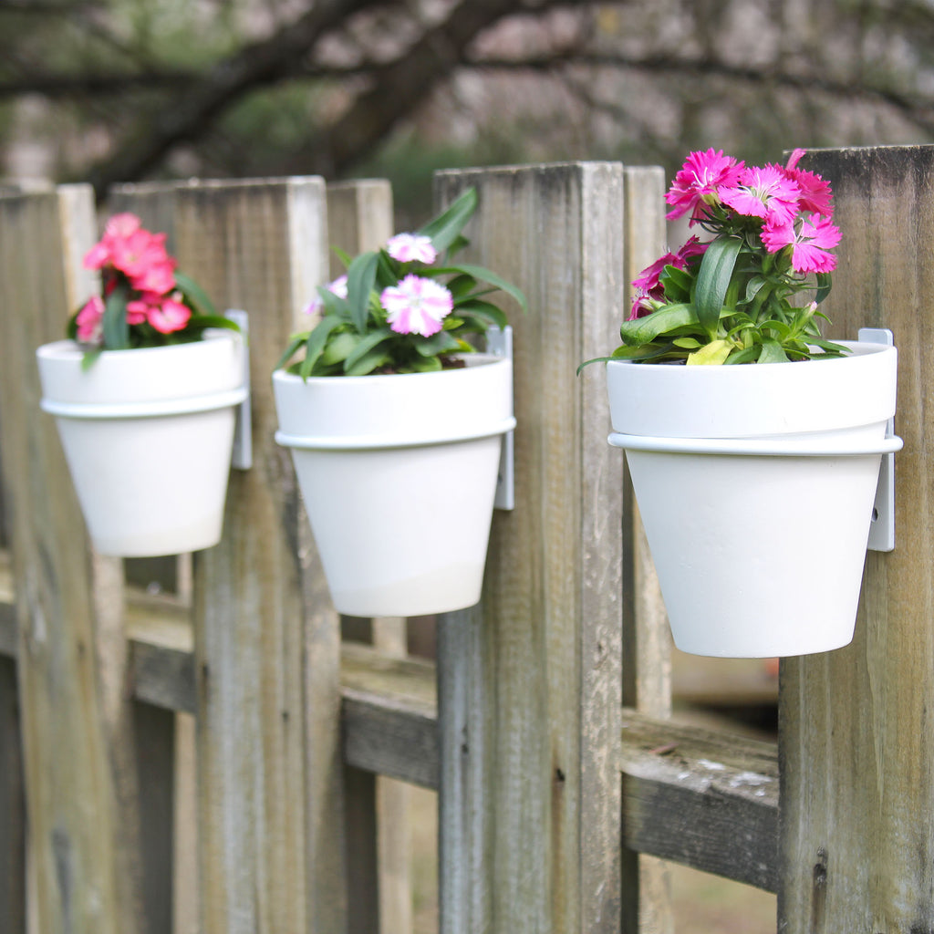 Wall Mounted Planter Rings w/ Pots 8pc Set (Case of 48) - 12X_SH_2105_CASE