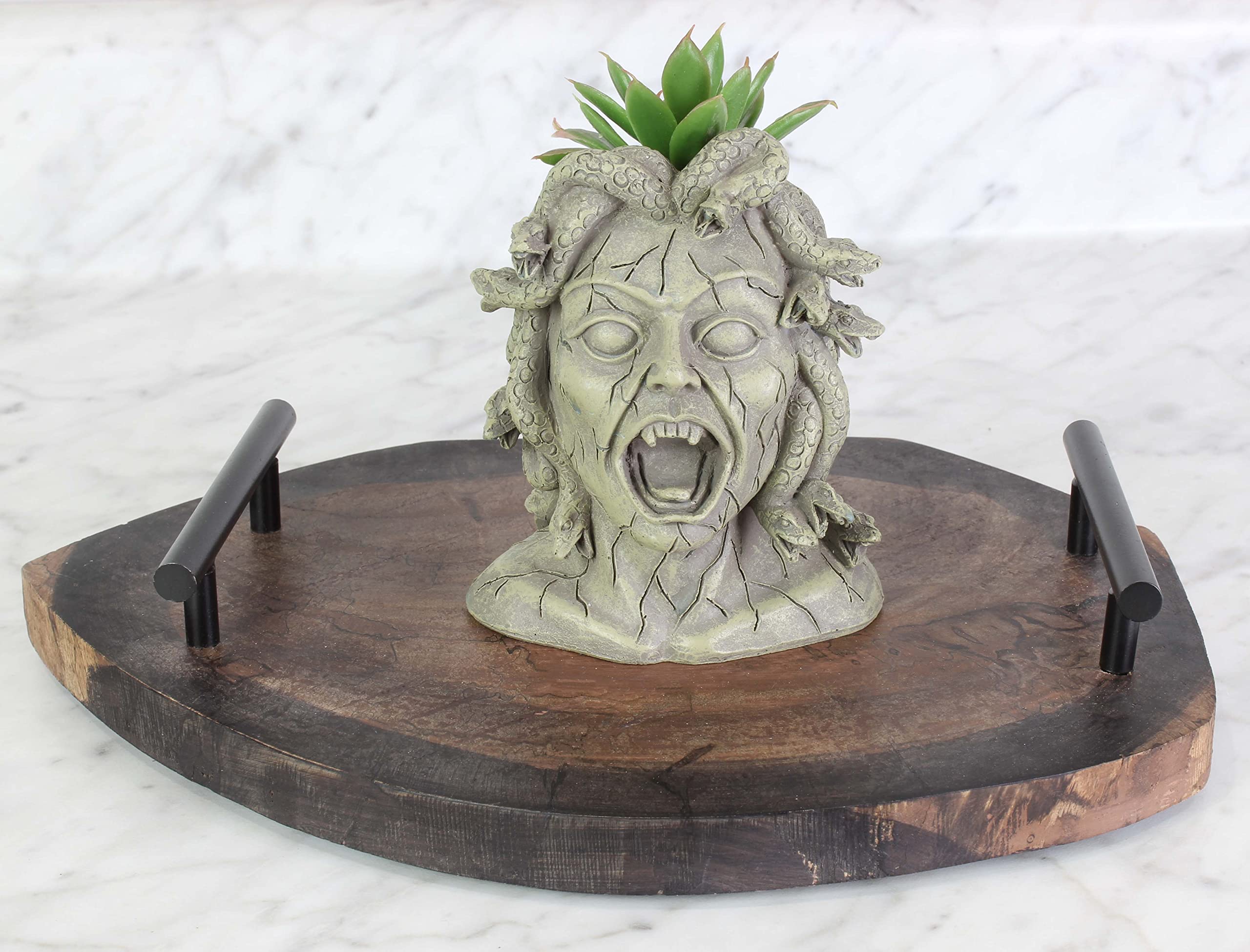 medusa planter pot Darware Resin Medusa Head Planter, Garden Decor Statue Flower Pot – Kurated Korner