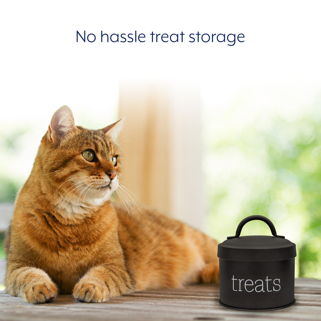 Enamel Cat Treat Container (Black) - sh2190ah1x