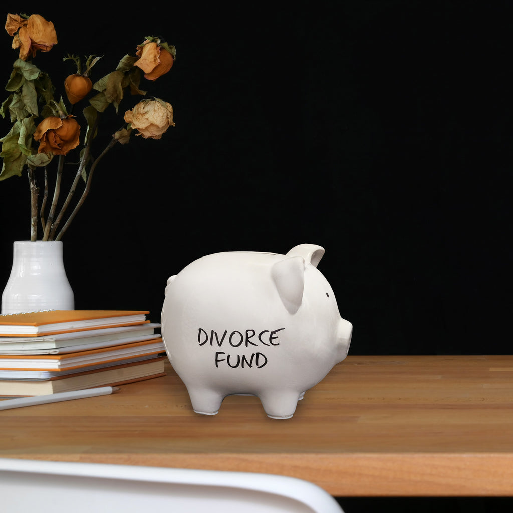 Divorce Fund Piggy Bank - sh2242Dcr0