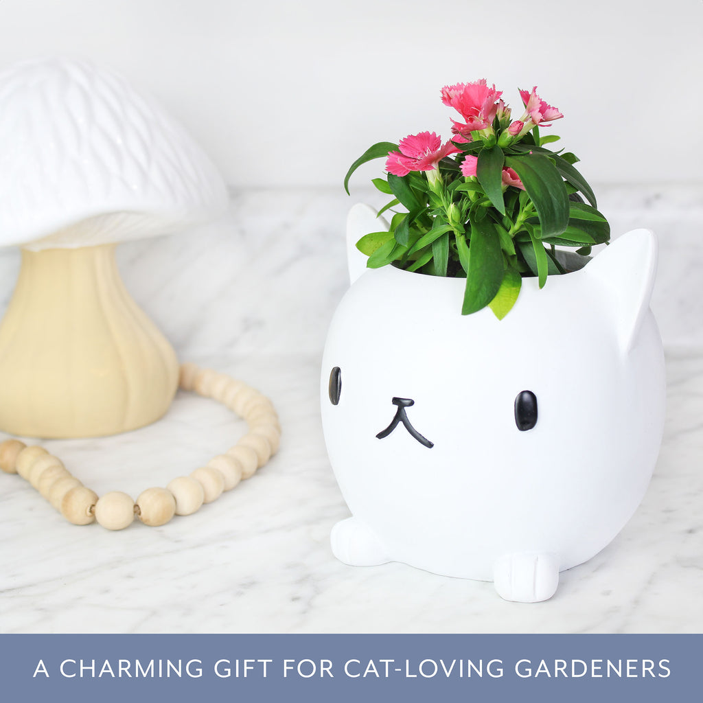 Cute Cat Mini Planter Pot (Case of 18) - 18X_SH_2284_CASE