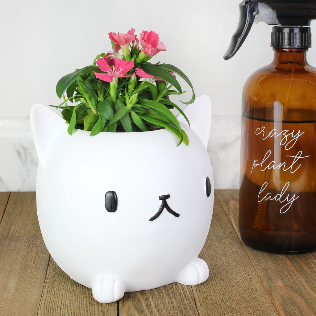 Cute Cat Mini Planter Pot - sh2284es1