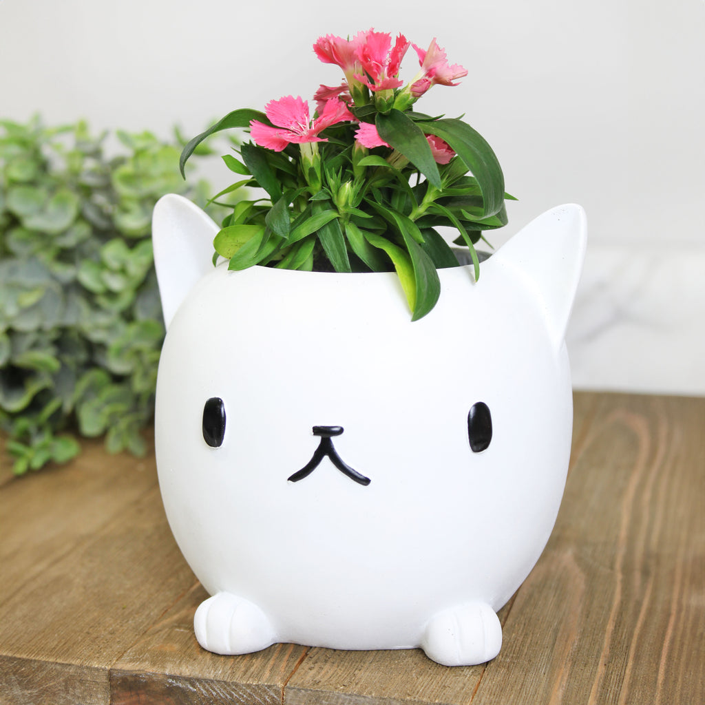 Cute Cat Mini Planter Pot (Case of 18) - 18X_SH_2284_CASE
