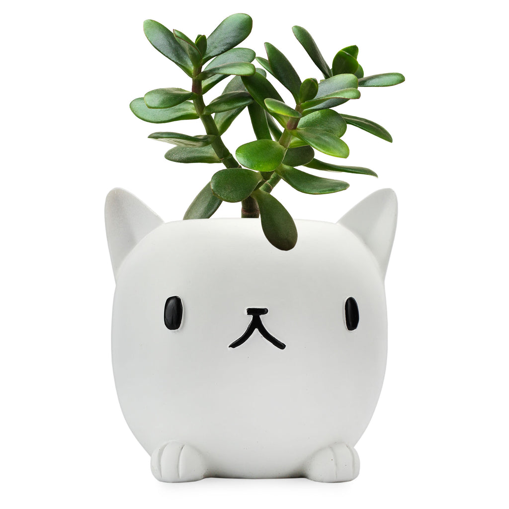 Cute Cat Mini Planter Pot (Case of 18) - 18X_SH_2284_CASE