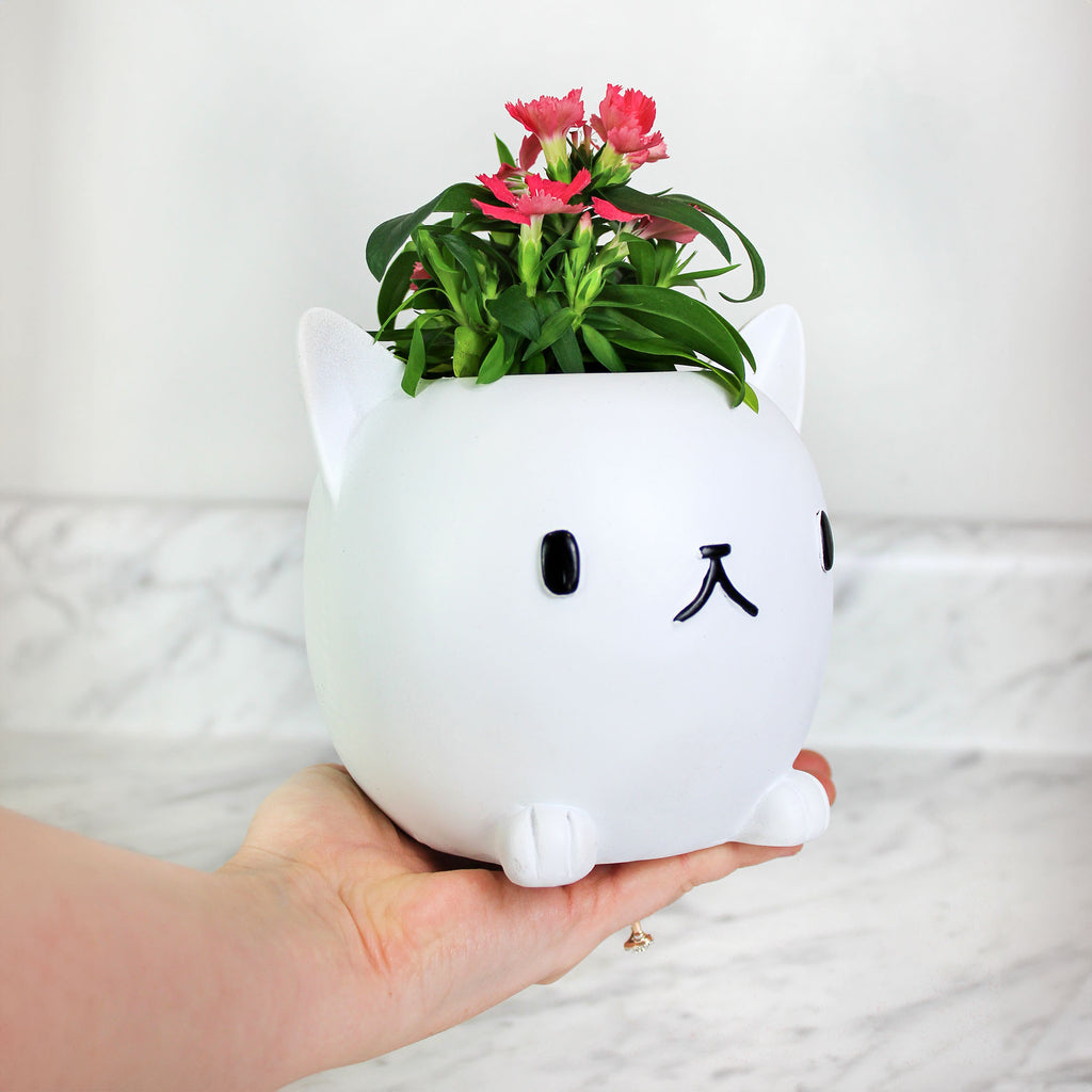 Cute Cat Mini Planter Pot - sh2284es1