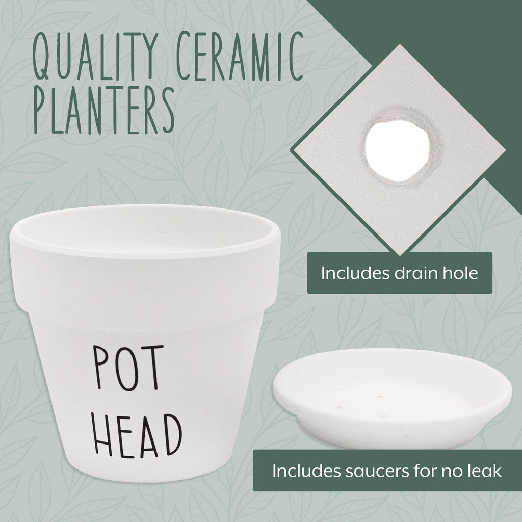 Pothead Planter Pot 2pc Set (Case of 18) - 18X_SH_2266_CASE