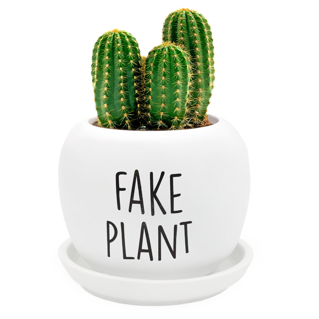 Fake Plant Planter Pot (Case of 18) - 18X_SH_2268_CASE