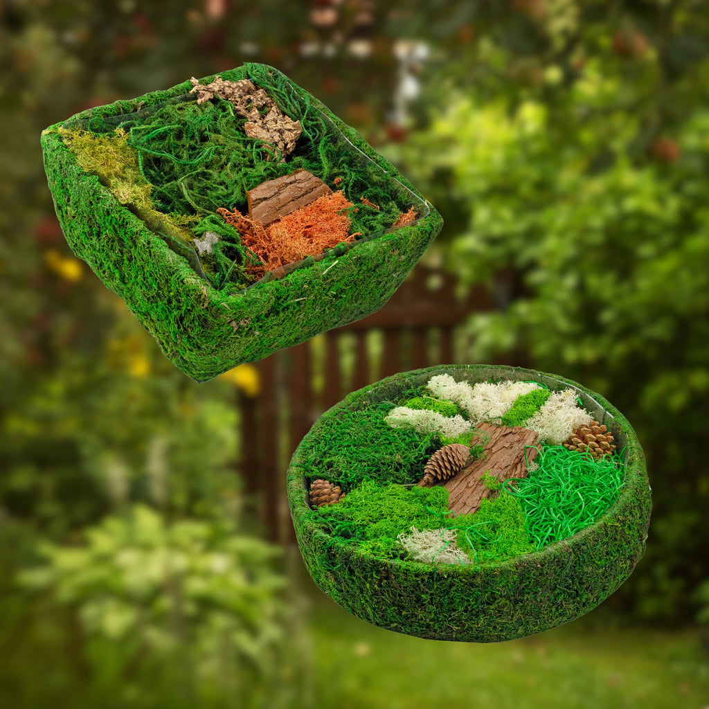 Square Fairy Garden Display (Case of 8) - 8X_SH_2305_CASE