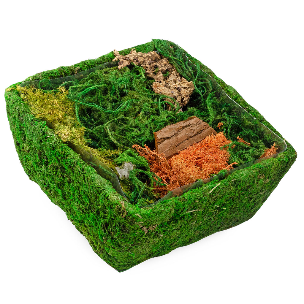 Square Fairy Garden Display (Case of 8) - 8X_SH_2305_CASE