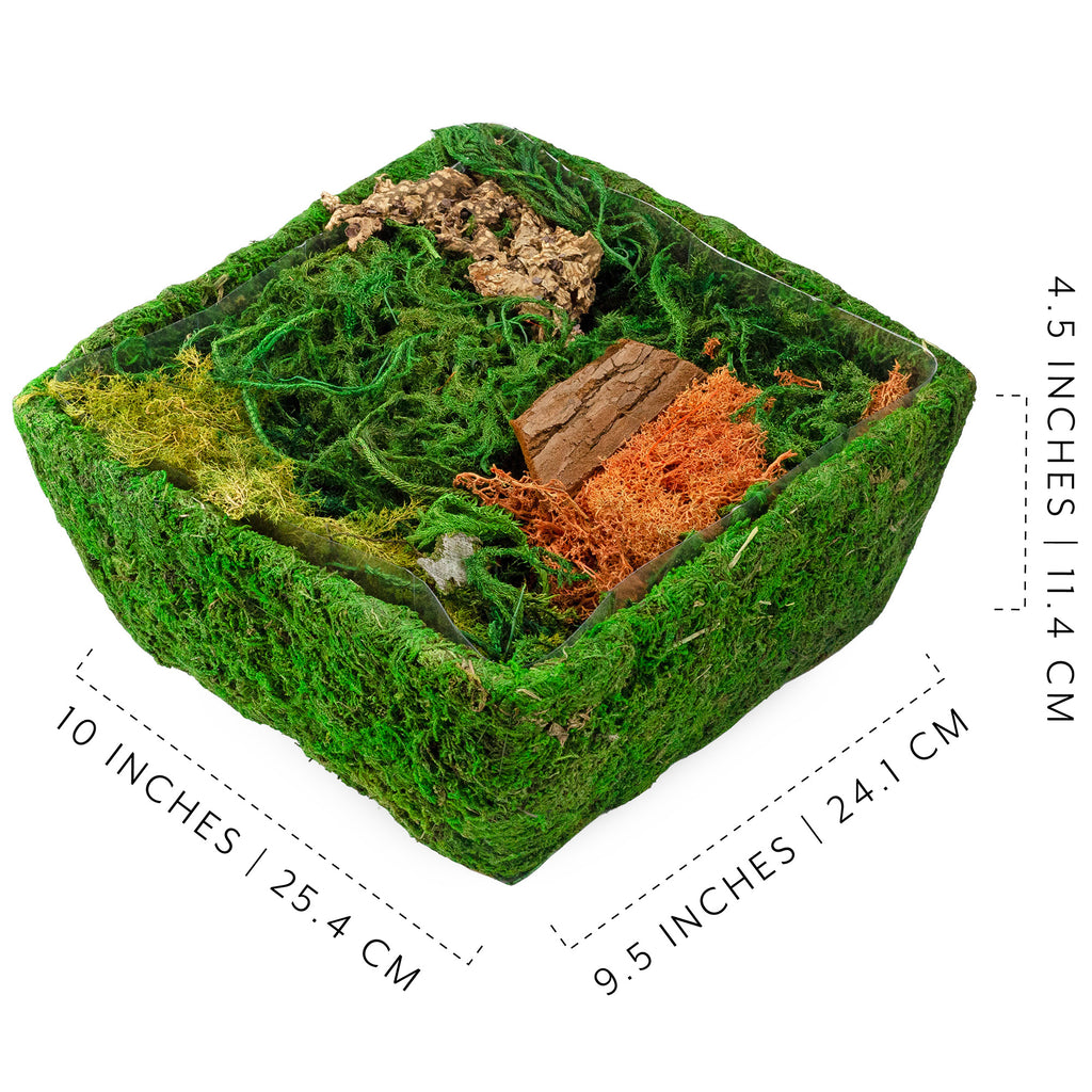 Square Fairy Garden Display (Case of 8) - 8X_SH_2305_CASE