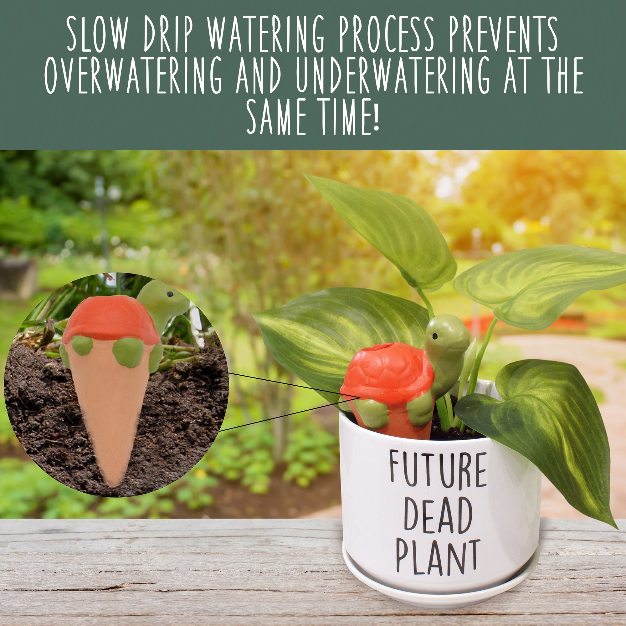 plant self watering stakes Esterno Turtle Self-Watering Spikes (3-Pack); Terracotta Clay Plant Auto-Watering Stakes, Turtle-Shaped – Kurated Korner
