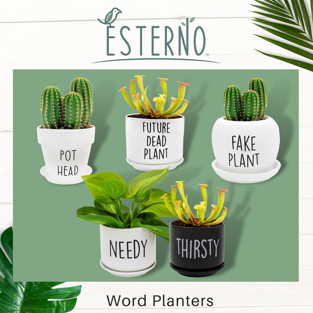 Needy and Thirsty Planter Pots (Case of 9) - 9X_SH_2351_CASE