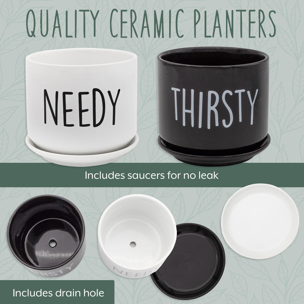 Needy and Thirsty Planter Pots (Case of 9) - 9X_SH_2351_CASE