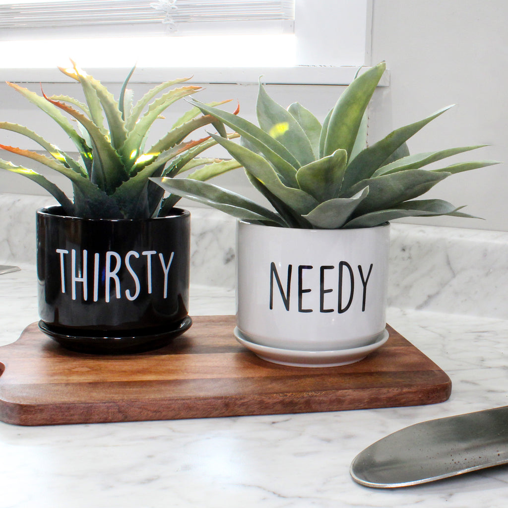 Needy and Thirsty Planter Pots (Set of 2) - sh2351es1