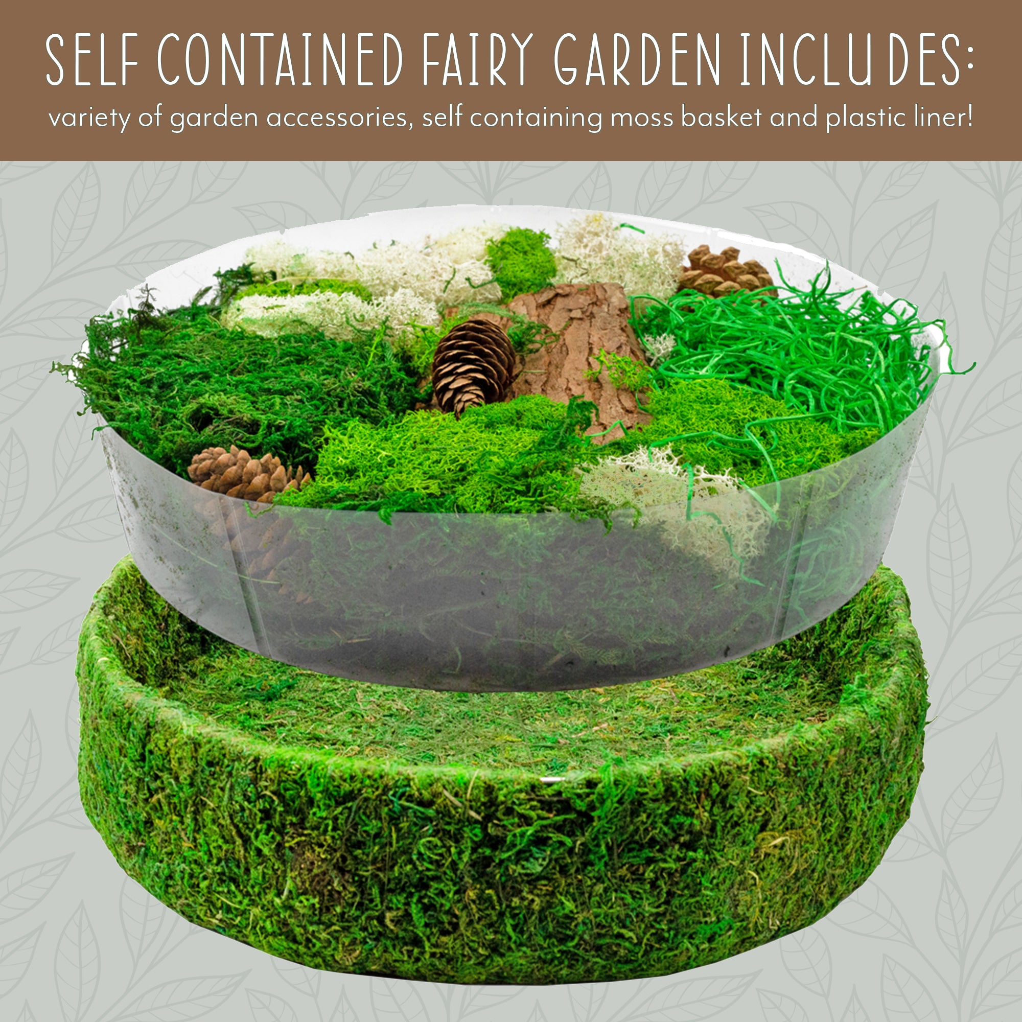 Esterno Fairy Garden Display; DIY Dried Moss Enchanted Landscape Terrarium  Starter Kit – Kurated Korner