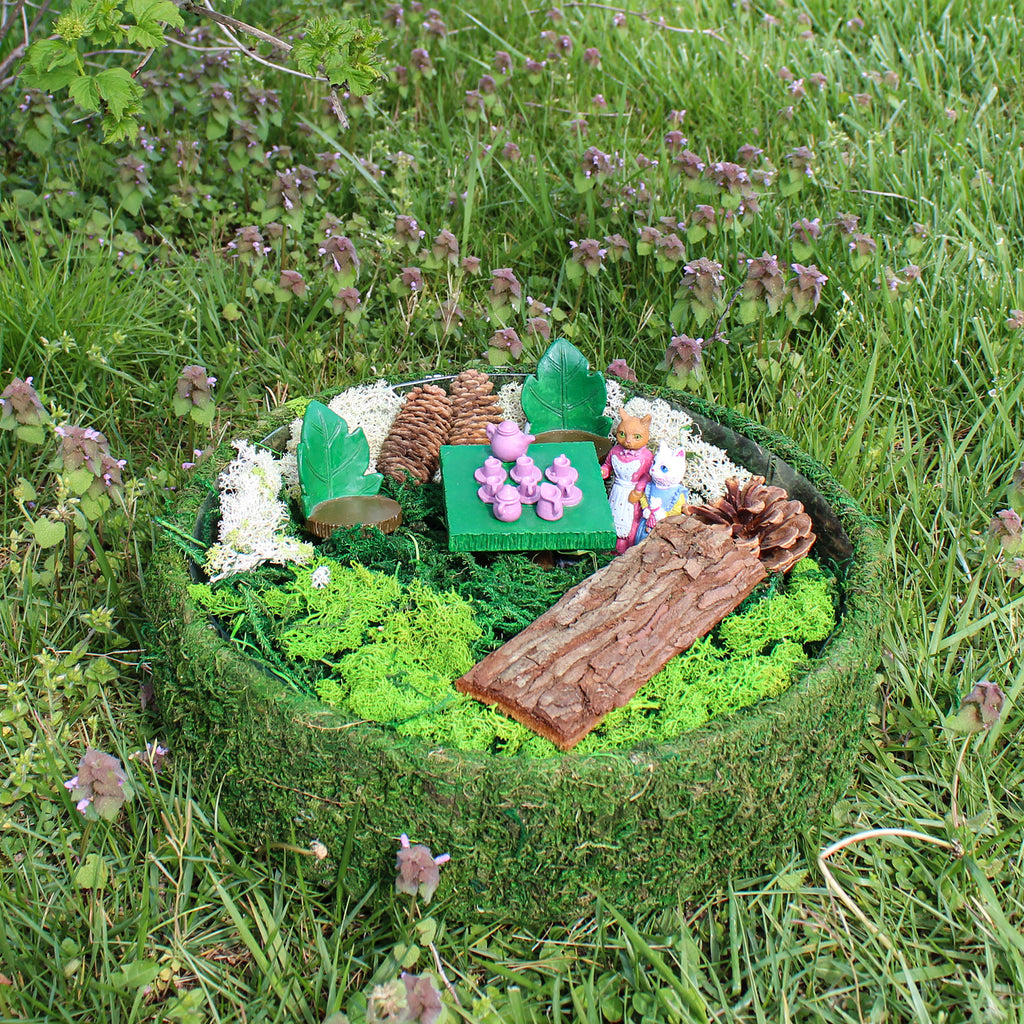 Round Fairy Garden Display (Case of 5) - 5X_SH_2369_CASE