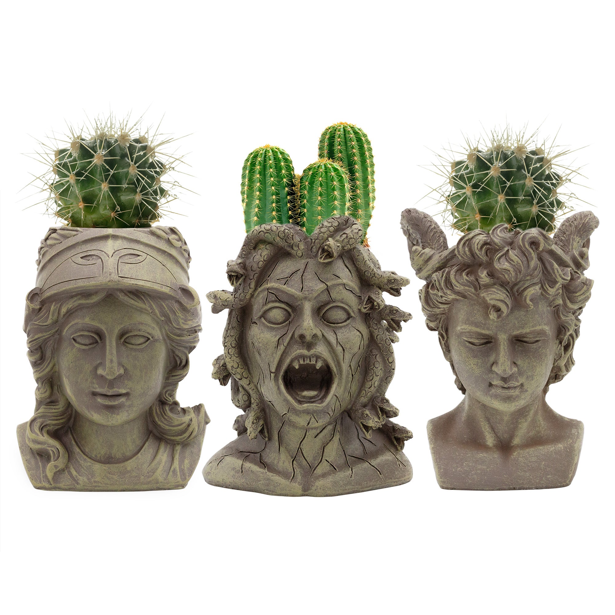 sculpture plant pots Darware Resin Medusa Head Planter, Garden Decor Statue Flower Pot – Kurated Korner