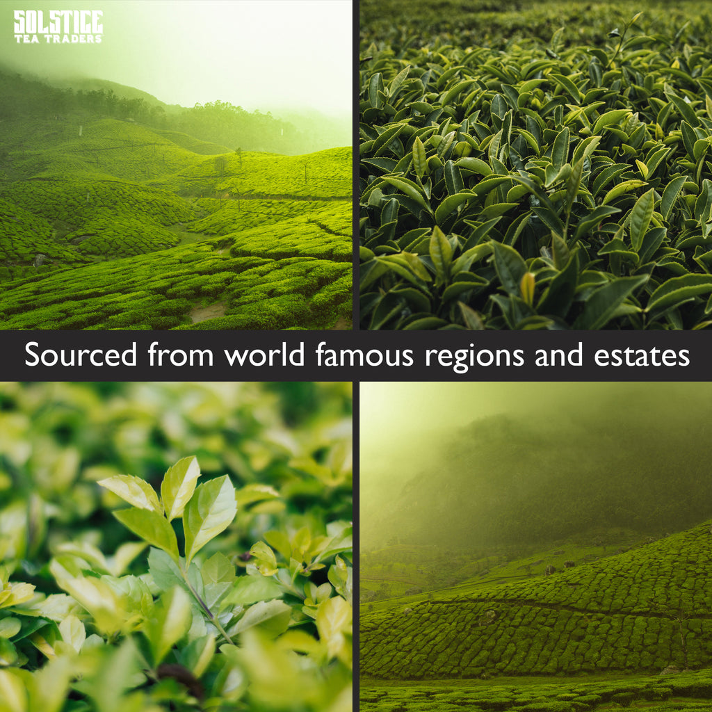 Exotic and Rare Green Tea Loose Leaf Tea Sampler Assortment (6-Variety) - STTKit007
