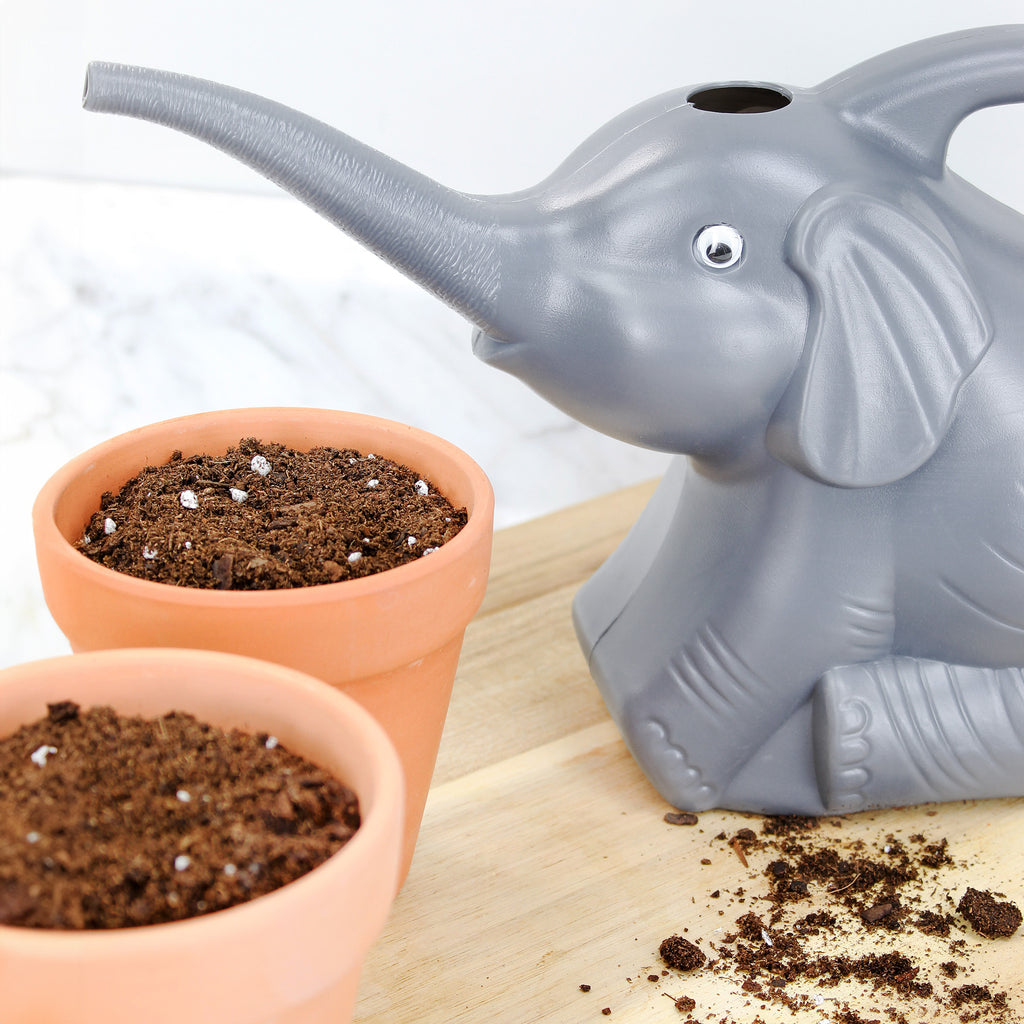 Elephant & Dinosaur Watering Cans (Combo Set of 2) - sh1626cb0ElDino