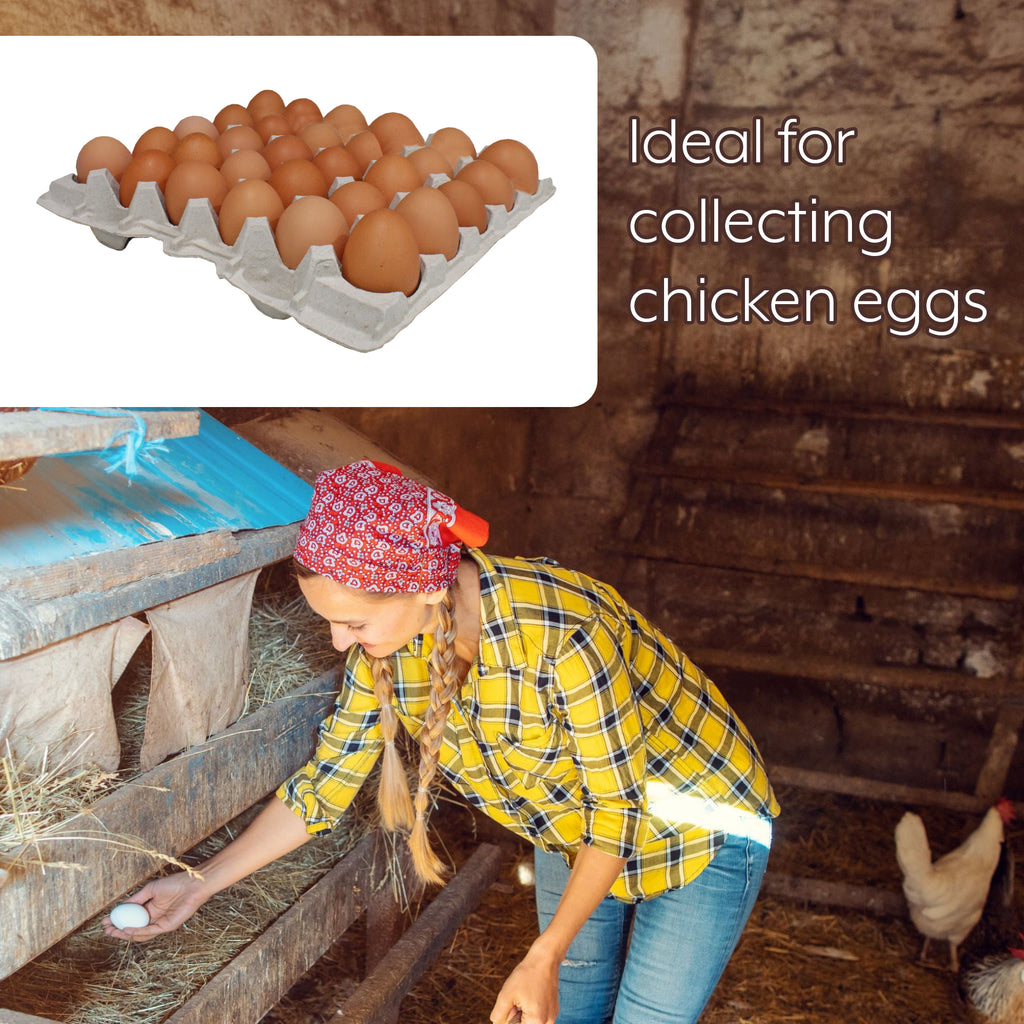 30-Count Egg Flats (18 Trays) - CBKit024