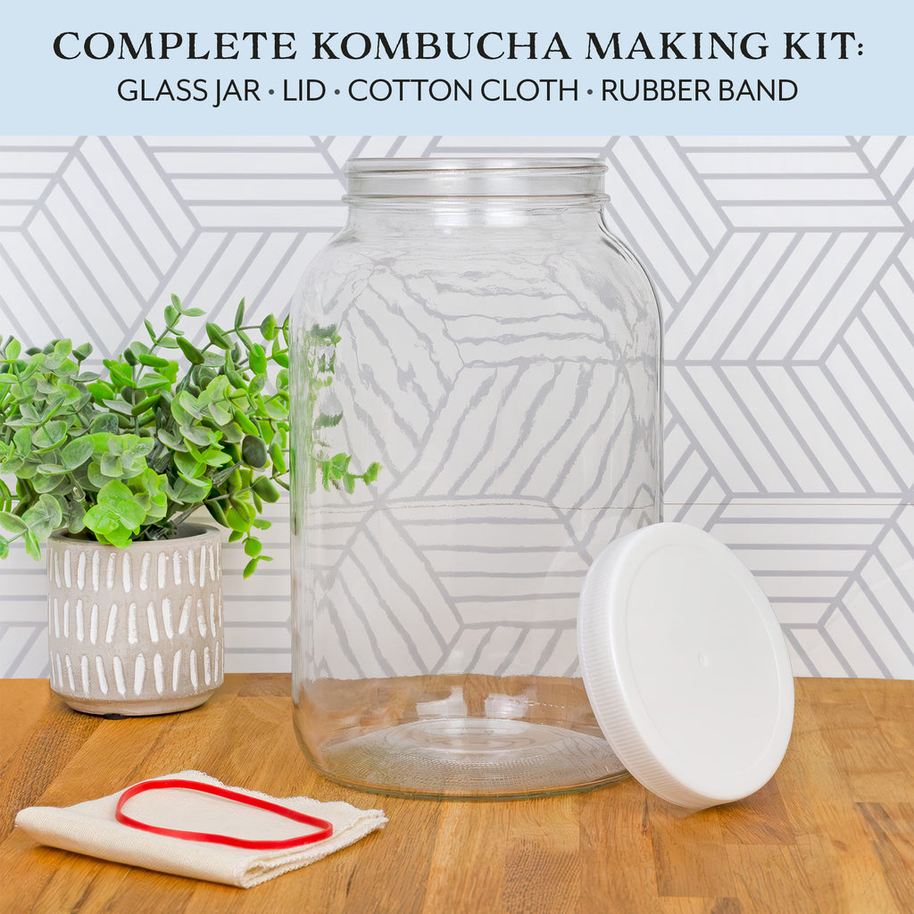 1 Gallon Glass Kombucha Jar - CBKit001