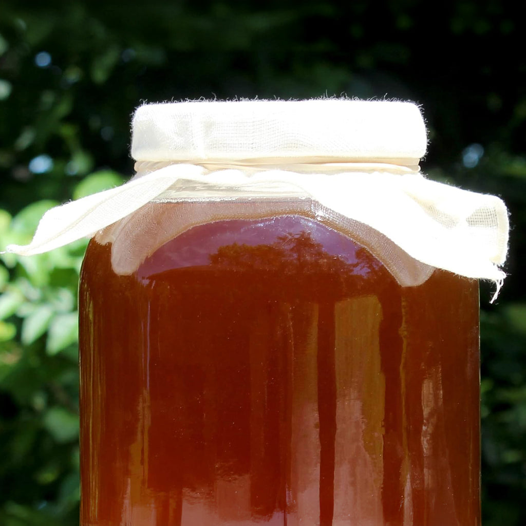 1 Gallon Glass Kombucha Jar - CBKit001