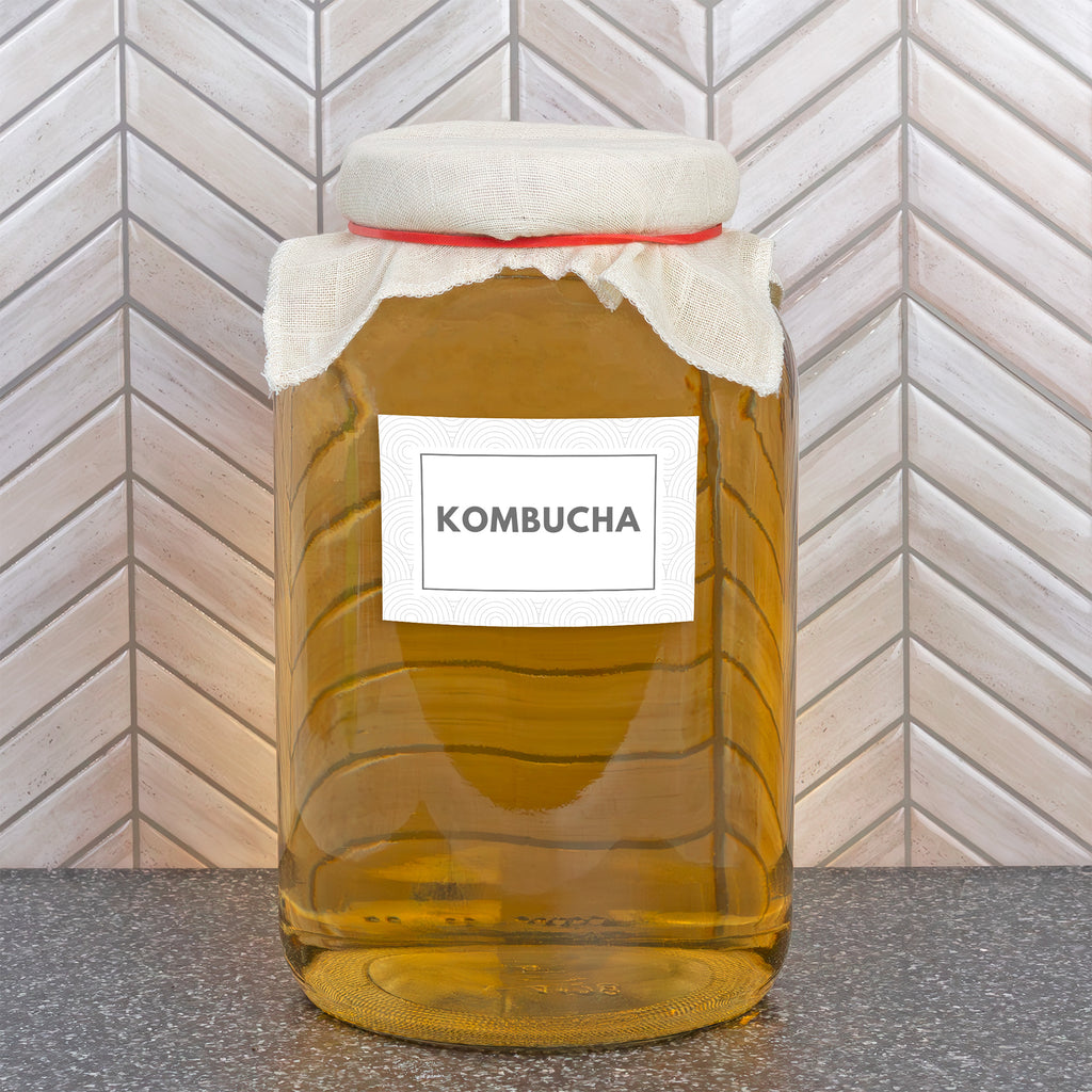 1 Gallon Glass Kombucha Jar - CBKit001