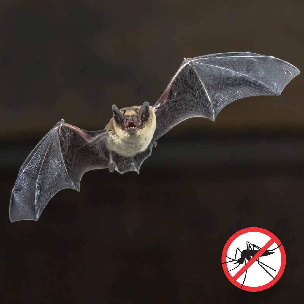 All-Natural Bat-Nip’ Pheromone Spray - UDKIT011