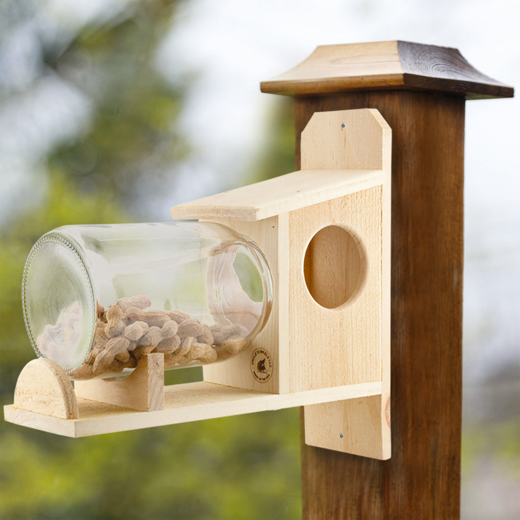 Backyard Squirrel Feeder (w/ Gallon Glass Jar) - UDKIT012
