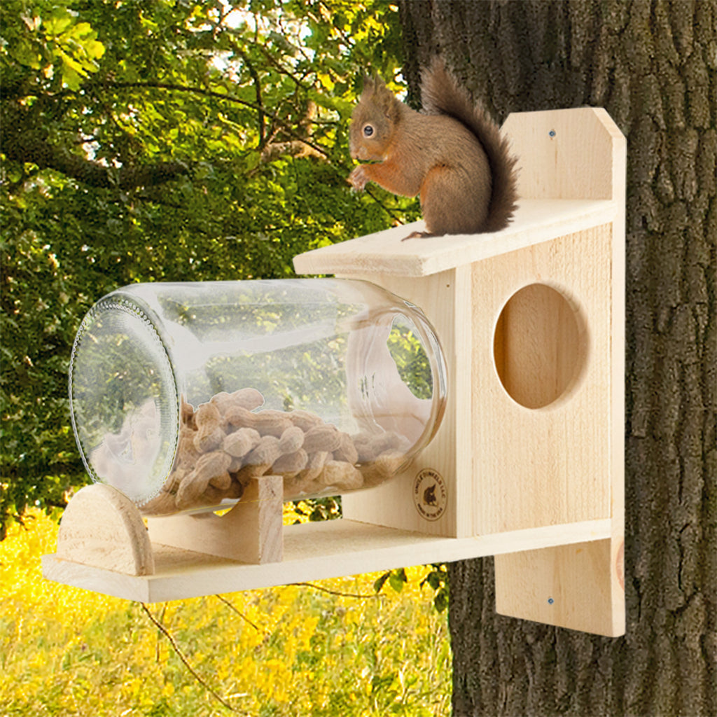 Backyard Squirrel Feeder (w/ Gallon Glass Jar) - UDKIT012